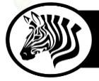 Zebra Logo Zebra Logo